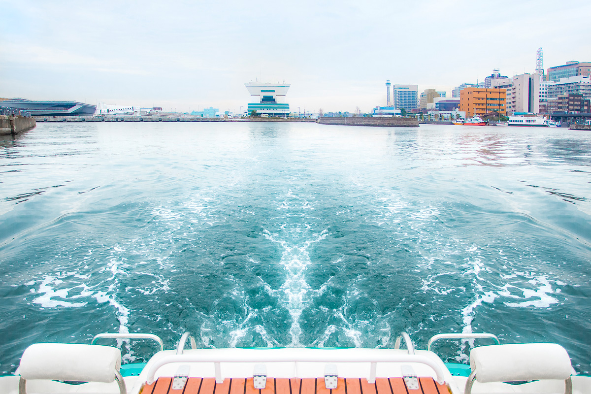 振り返ると、台形の大さん橋ふ頭ビルや横浜マリンタワーも