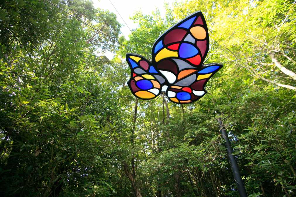 タン・ダ・ウ＜薩摩光彩＞