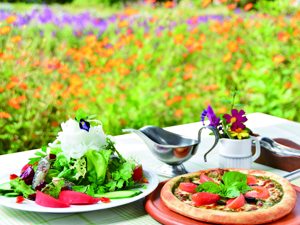 ドライブで行きたい！千葉のグルメスポット3選【東京から週末おいしい旅へ】