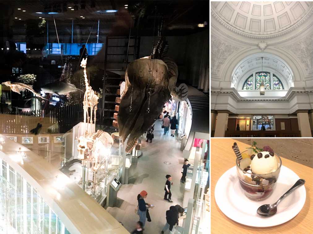 国立科学博物館 は穴場のデートスポット 彼の好奇心を刺激して距離を縮めよう るるぶ More