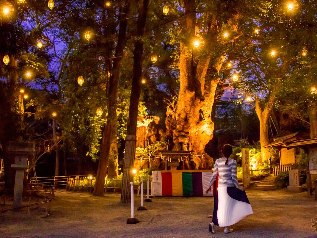 超絶スリル体験に漁港で朝ごはん！一生に一度はしたい6つの体験in静岡