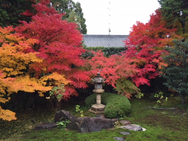 写真提供：京料理高澤　2016年11月中旬撮影