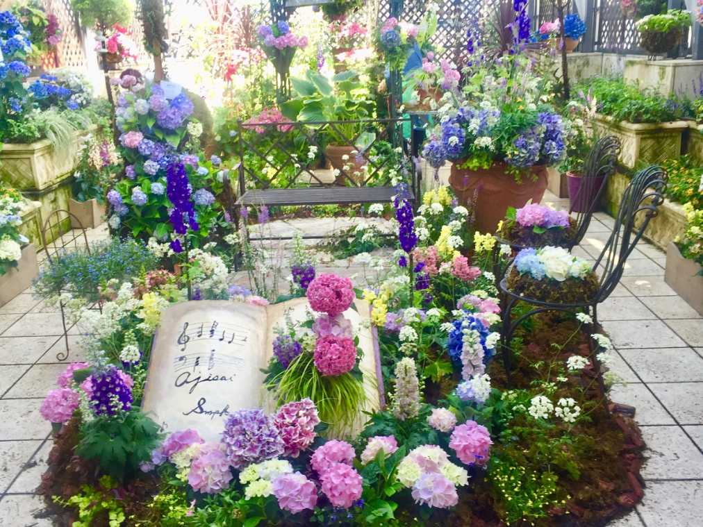 銀座の空中庭園に咲き誇る“アジサイ”！「初夏のあじさいガーデン」