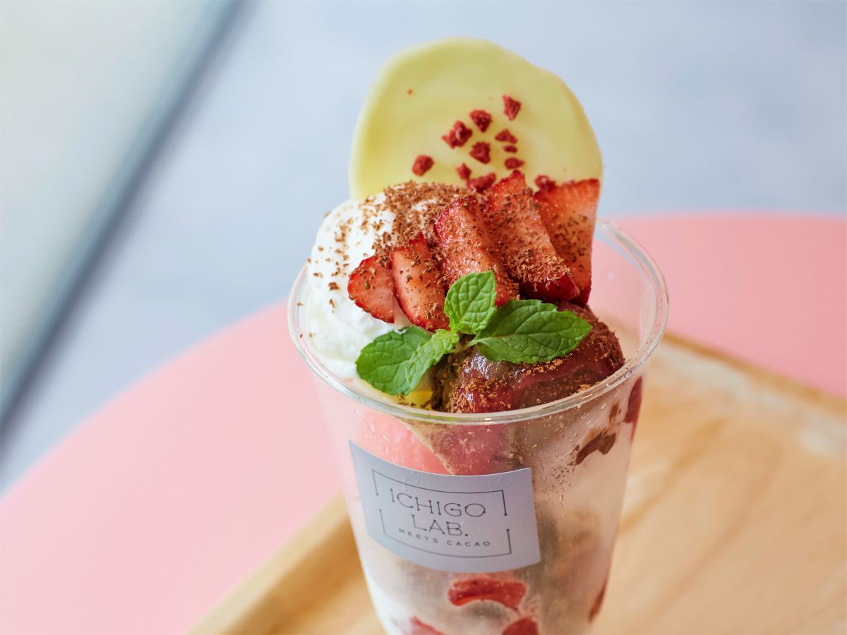 ベリーショコラ パフェ 800円