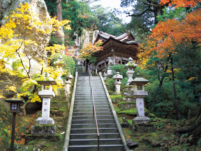石川県でおすすめの紅葉名所～見頃やライトアップなどの2025年情報～