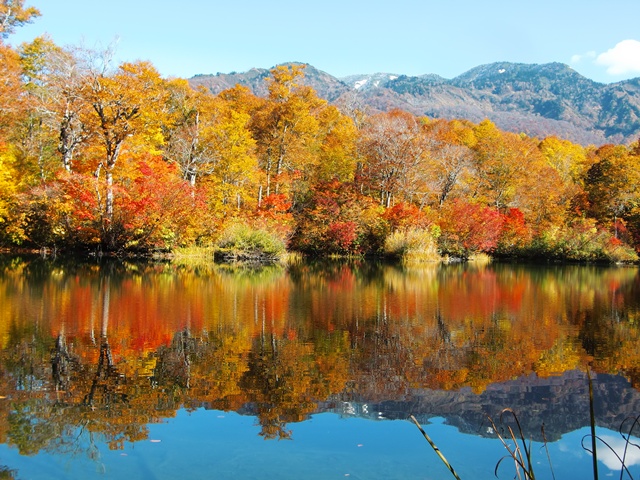 長野県でおすすめの紅葉名所 見頃やライトアップなどの21年情報