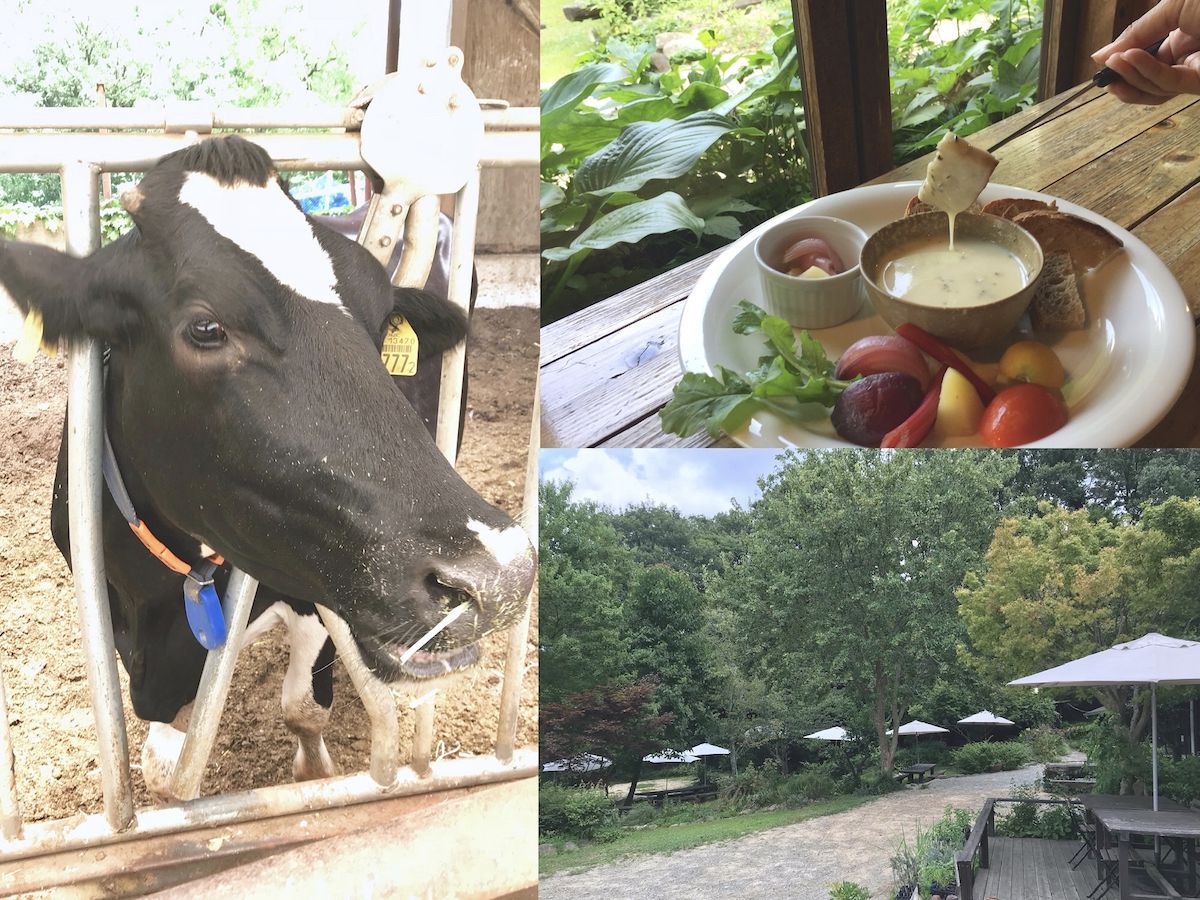 神戸市街から車で約20分。大自然の「弓削牧場」で日常をリセット！