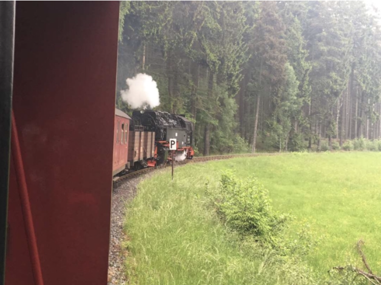 ヨーロッパの美しい村30選を鉄道でめぐる!大周遊旅~魔女伝説は実在した!?おとぎ話の村・クヴェトリンブルク(後編)~