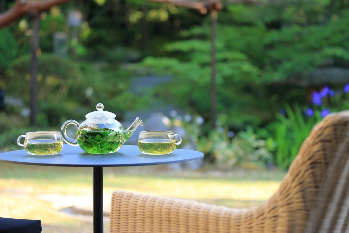 プライベートGARDEN アフタヌーンティー “SAKURA”9500円（菊水セレクション シャンパーニュ、ロンネフェルトの紅茶6種など全10種のドリンク付）