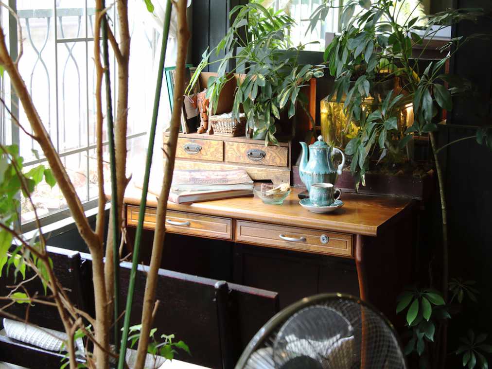 みどり豊かな店内は会話禁止!?読書をするための静寂にこだわる喫茶店