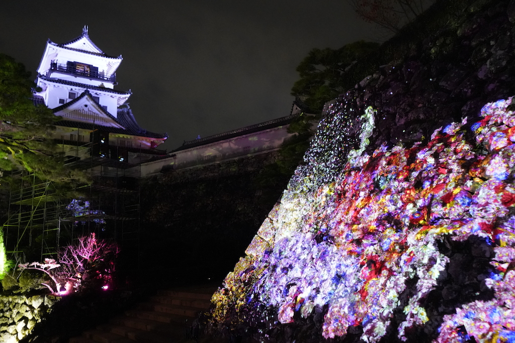 「高知城の石垣に住まう花と共に生きる動物達」
