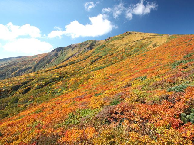 宮城県