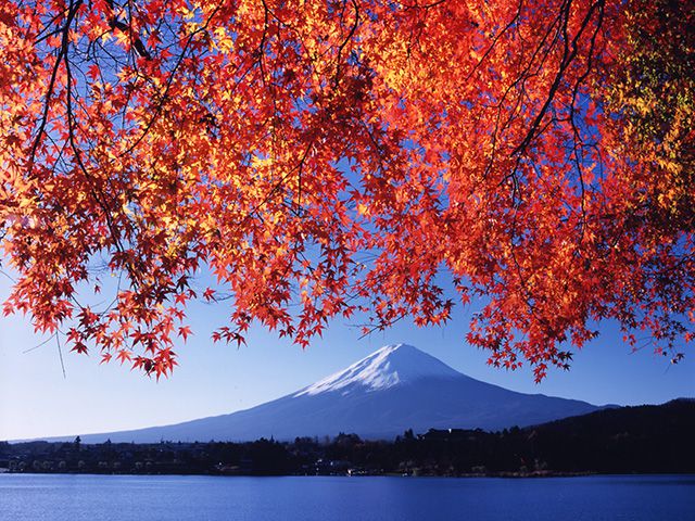 山梨県