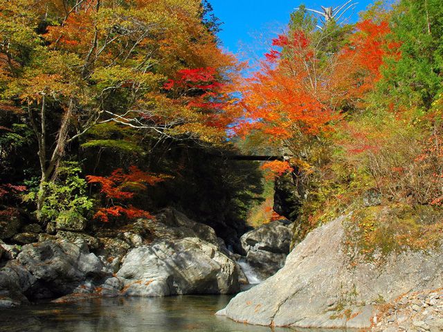 徳島県