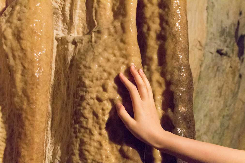 さわってみると、ひんやりしていて気持ちいい！