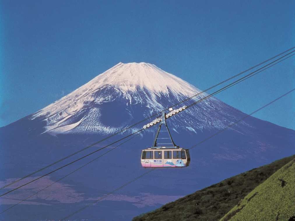 【全国版】ロープウェイで楽々登山ができるスポット5選！絶景と高原に咲くかわいいお花を見に行こう