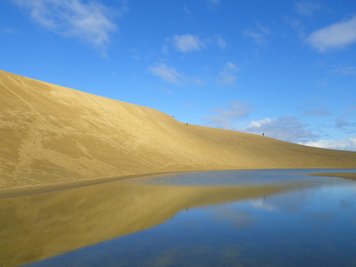 自然公園財団鳥取支部