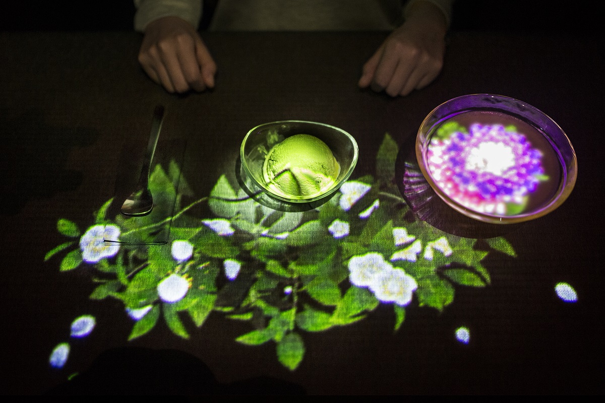 茶の木 / Tea flowers　 teamLab, 2018, Interactive Digital Installation, Endless, Sound: Hideaki Takahashi
