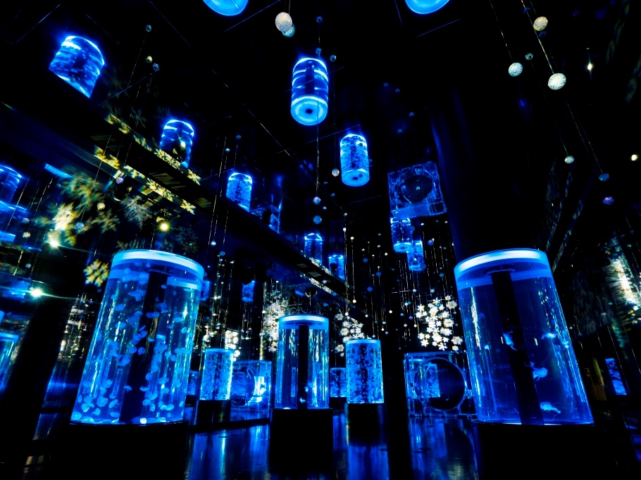 青で包まれた幻想的な雪と氷の世界「マクセル アクアパーク品川」の『スノーアクアリウム』で夜遊びしよっ