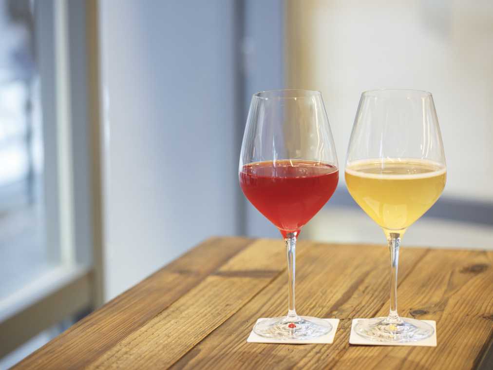 美は腸内環境から！西麻布のコンブチャ専門店でこっそりヘルシーに