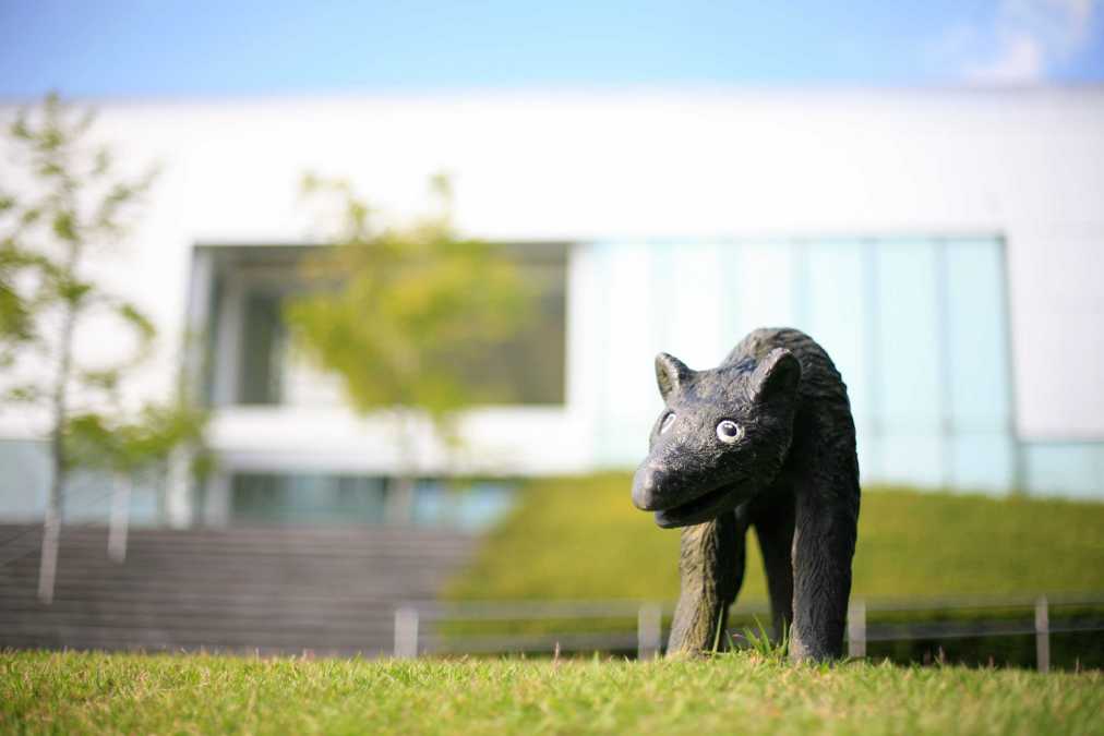 藤浩志＜犬と散歩＞