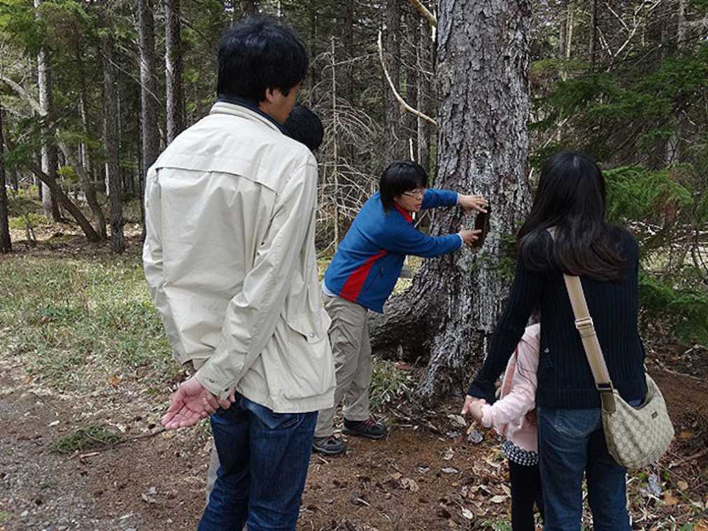 川湯エコミュージアムセンター