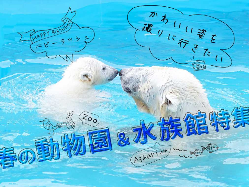 かわいい姿を撮りに行きたい！春の動物園＆水族館特集