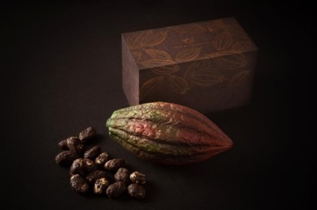 カカオショコラ8100円（販売中～2019年5月31日まで）