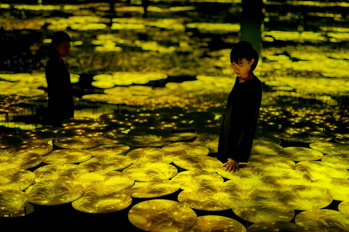 参考画像：地形の記憶 / Memory of Topography  teamLab, 2018, Interactive Digital Installation, Sound: Hideaki Takahashi（秋の季節）